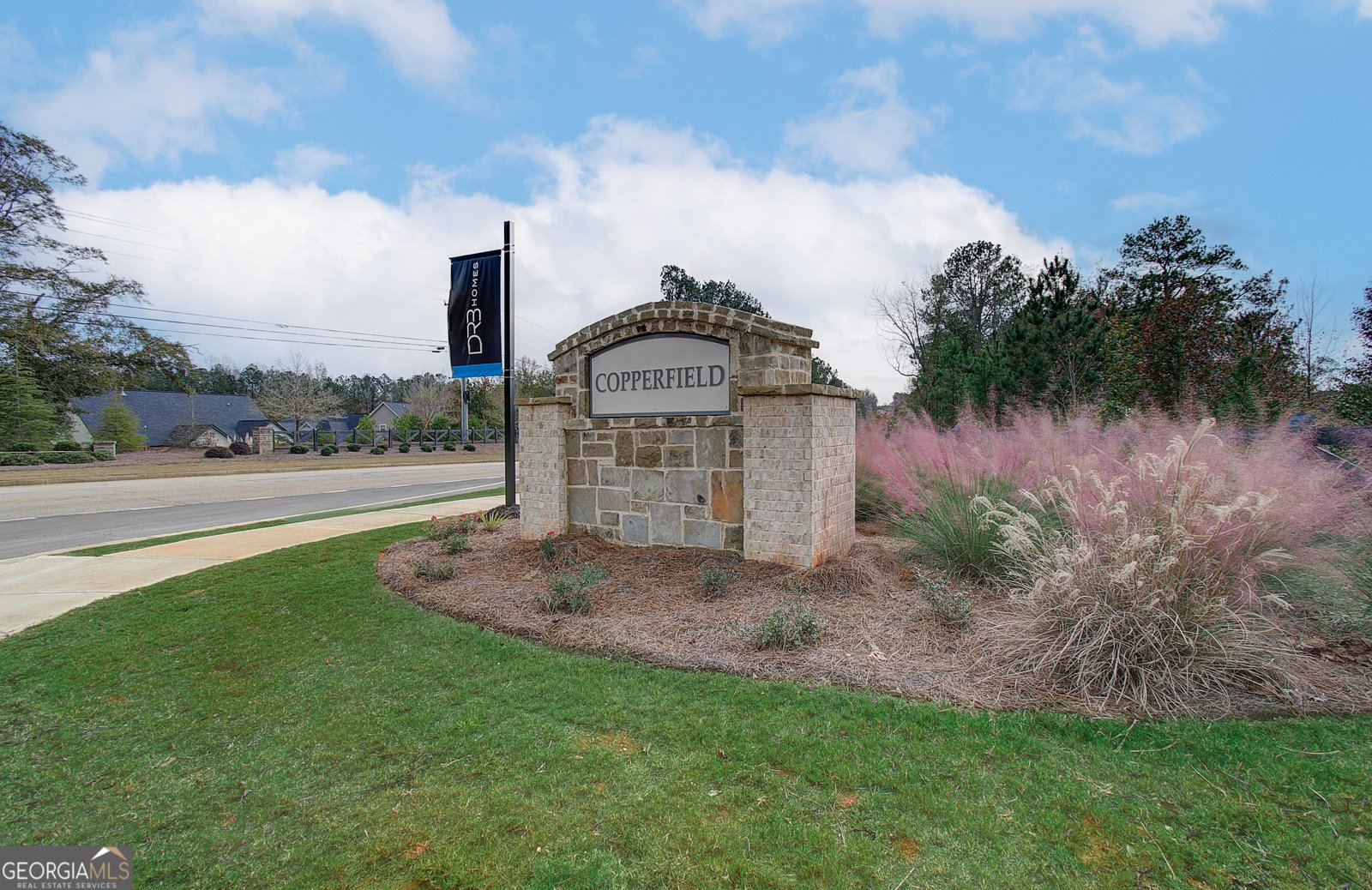 229 Ruthe Cove Locust Grove - Photo 44