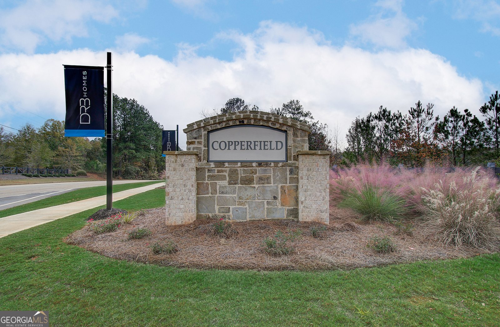 229 Ruthe Cove Locust Grove - Photo 46