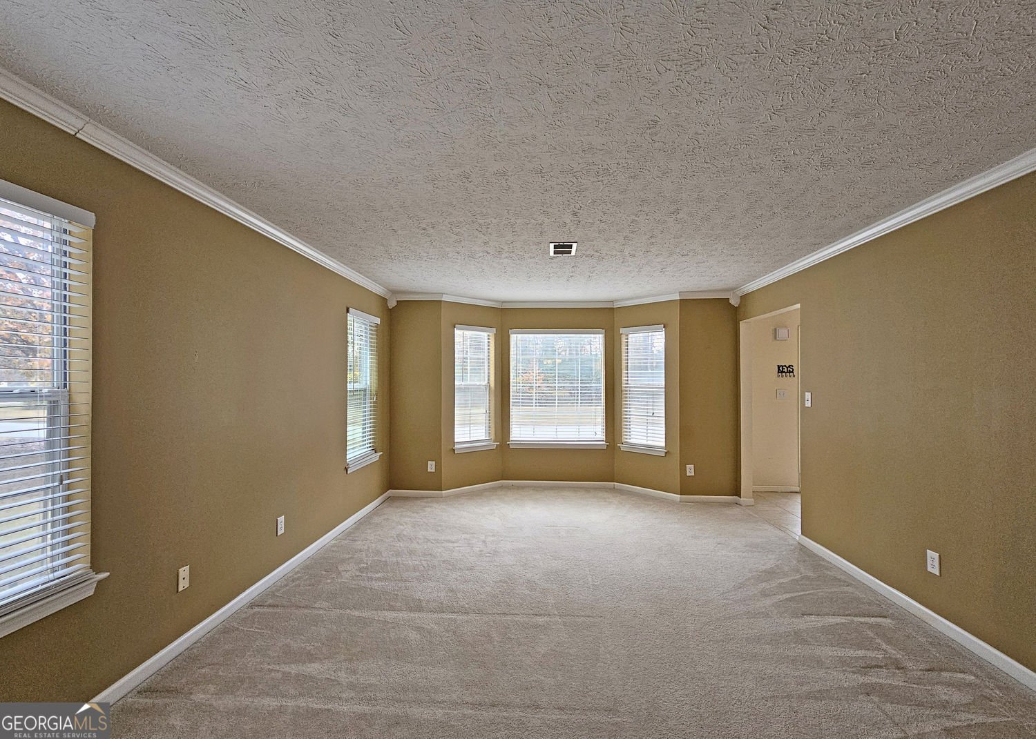 2167 Pixie Rose Lane Loganville - Photo 9