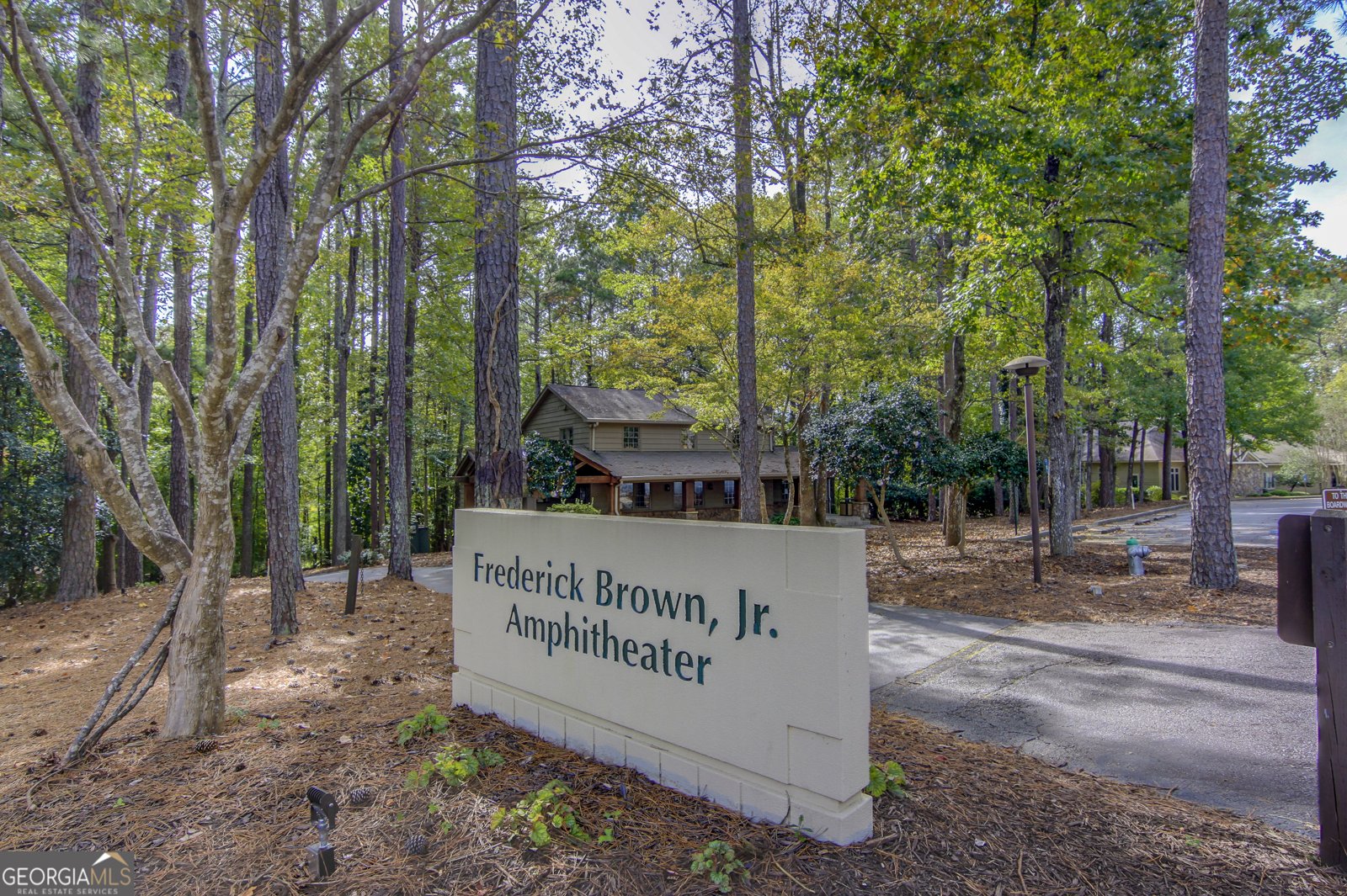 1103 Iveydale Lane Peachtree City - 43