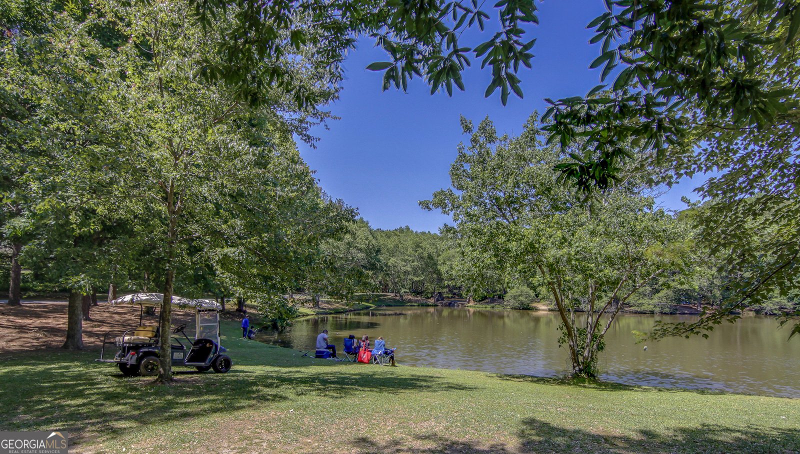 1103 Iveydale Lane Peachtree City - 48