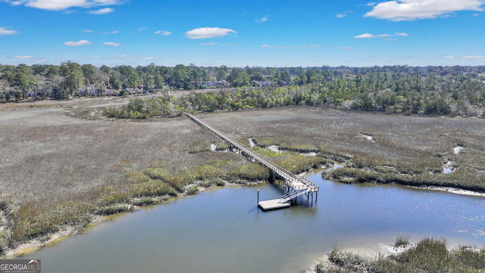 1024 Walthour Road Savannah - 41