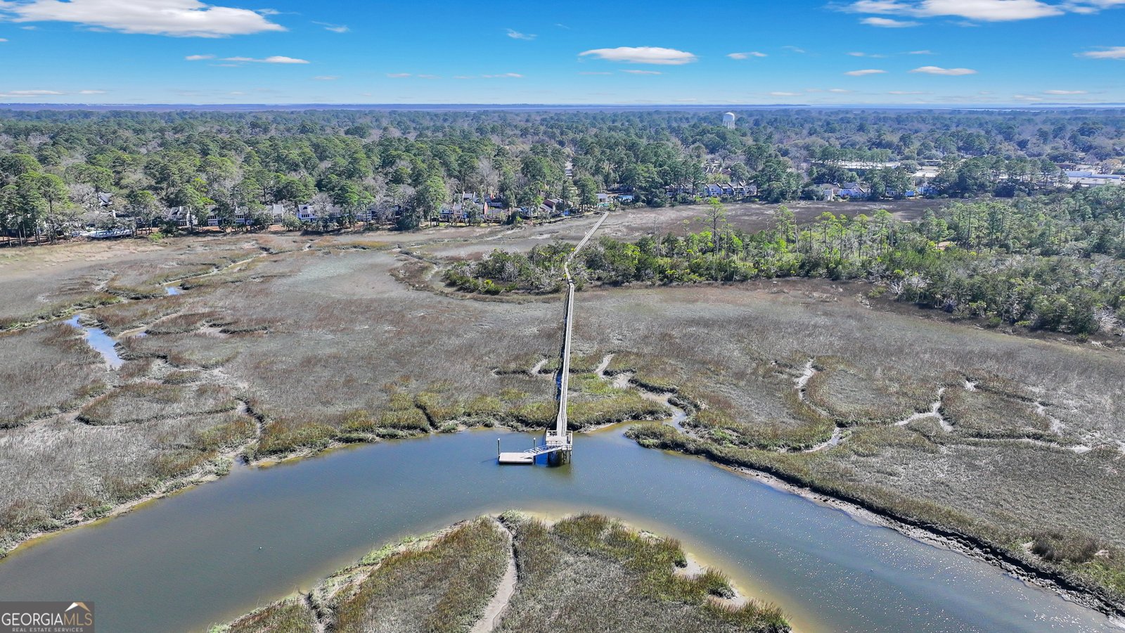 1024 Walthour Road Savannah - 42