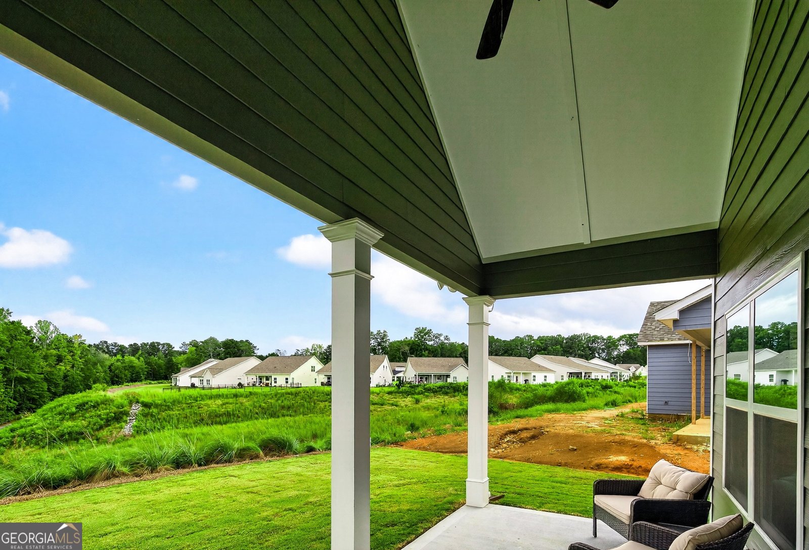 170 Redhaven Drive Senoia - 29