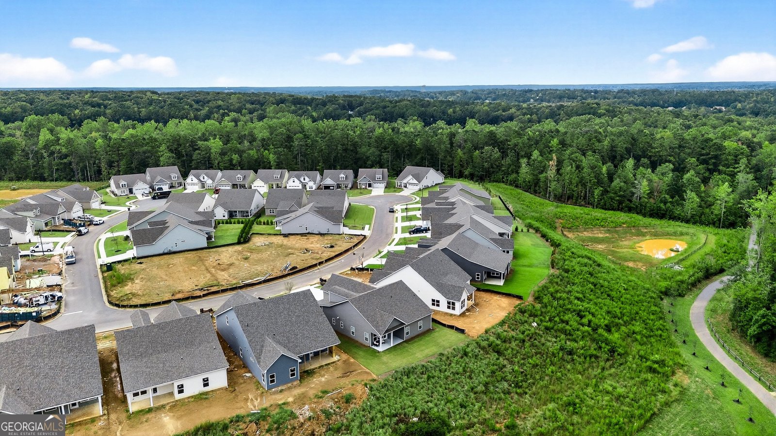 170 Redhaven Drive Senoia - 40