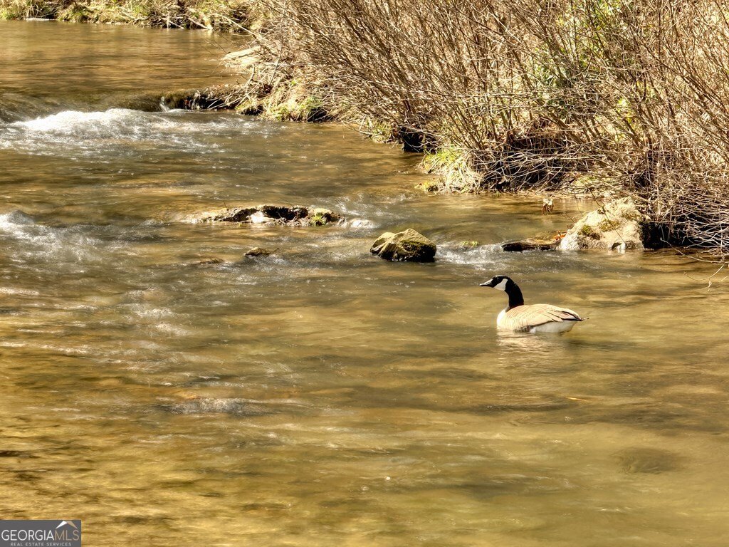 908 Cashes Valley Road Cherry Log - 8