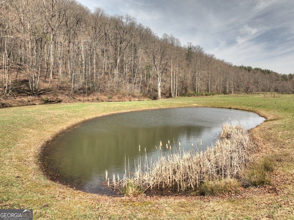 908 Cashes Valley Road Cherry Log - 9