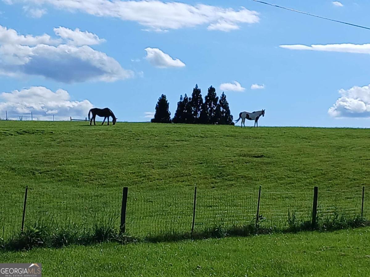 234 Triple D Drive Adairsville - 1