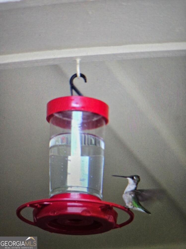 114 Aaron Drive Toccoa - 61