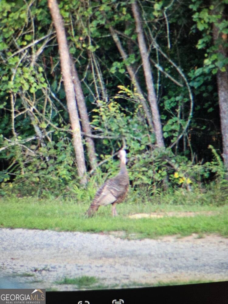 114 Aaron Drive Toccoa - 63