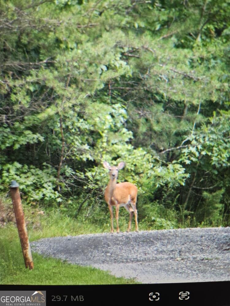 114 Aaron Drive Toccoa - 64