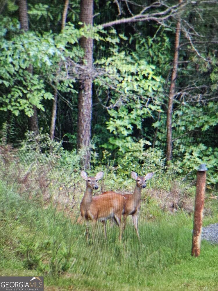 114 Aaron Drive Toccoa - 66