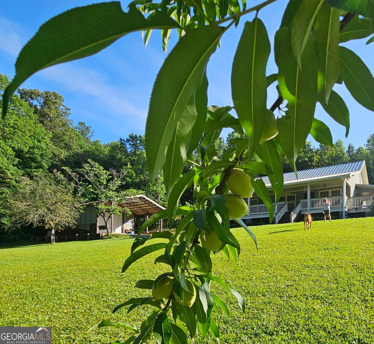 114 Aaron Drive Toccoa - 67