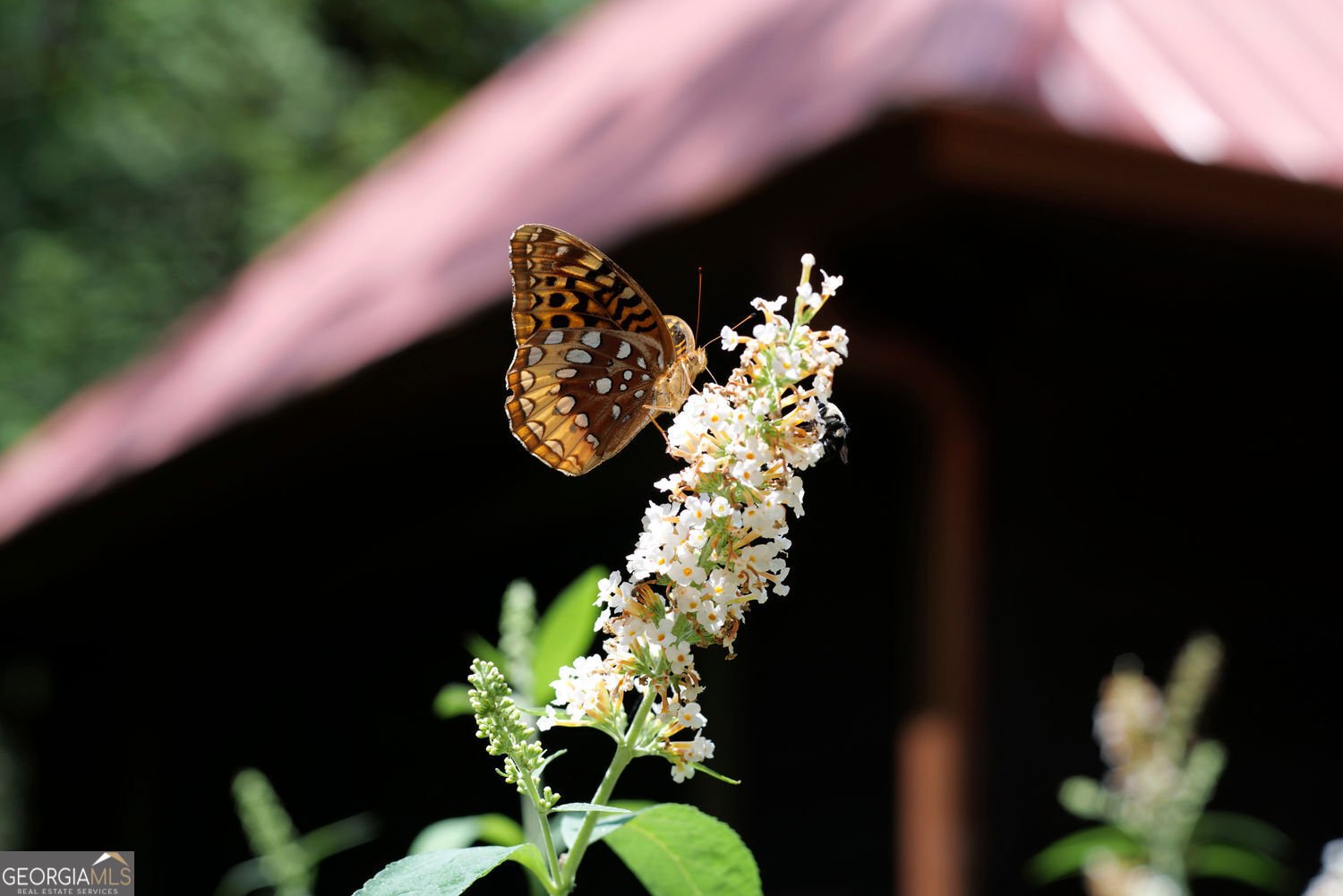 641 Dover Highlands Trail Ellijay - 34