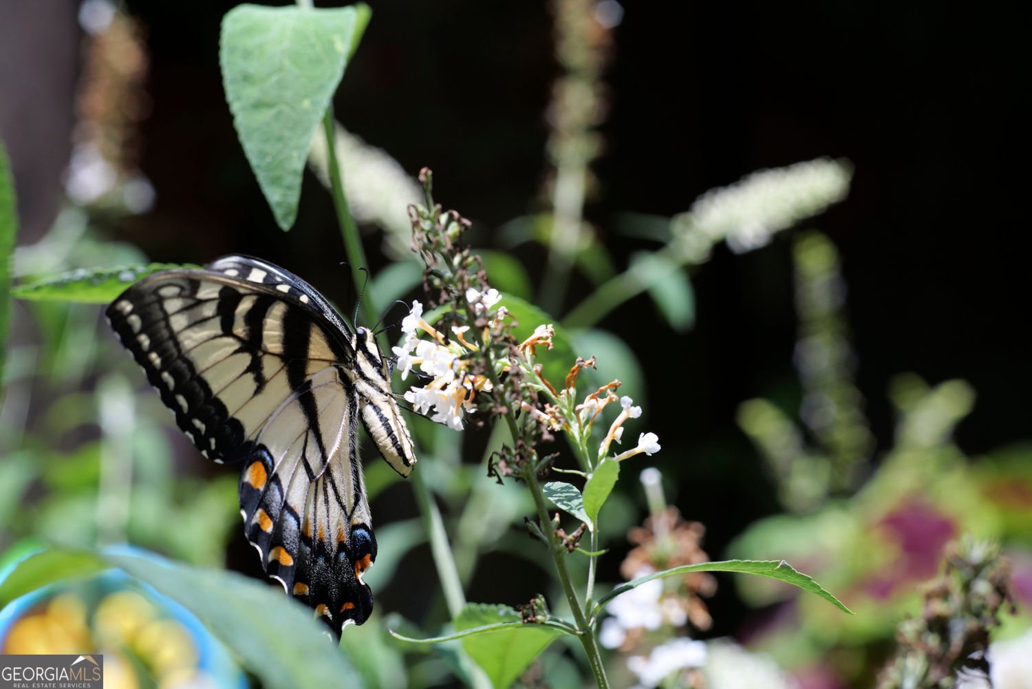 641 Dover Highlands Trail Ellijay - 36