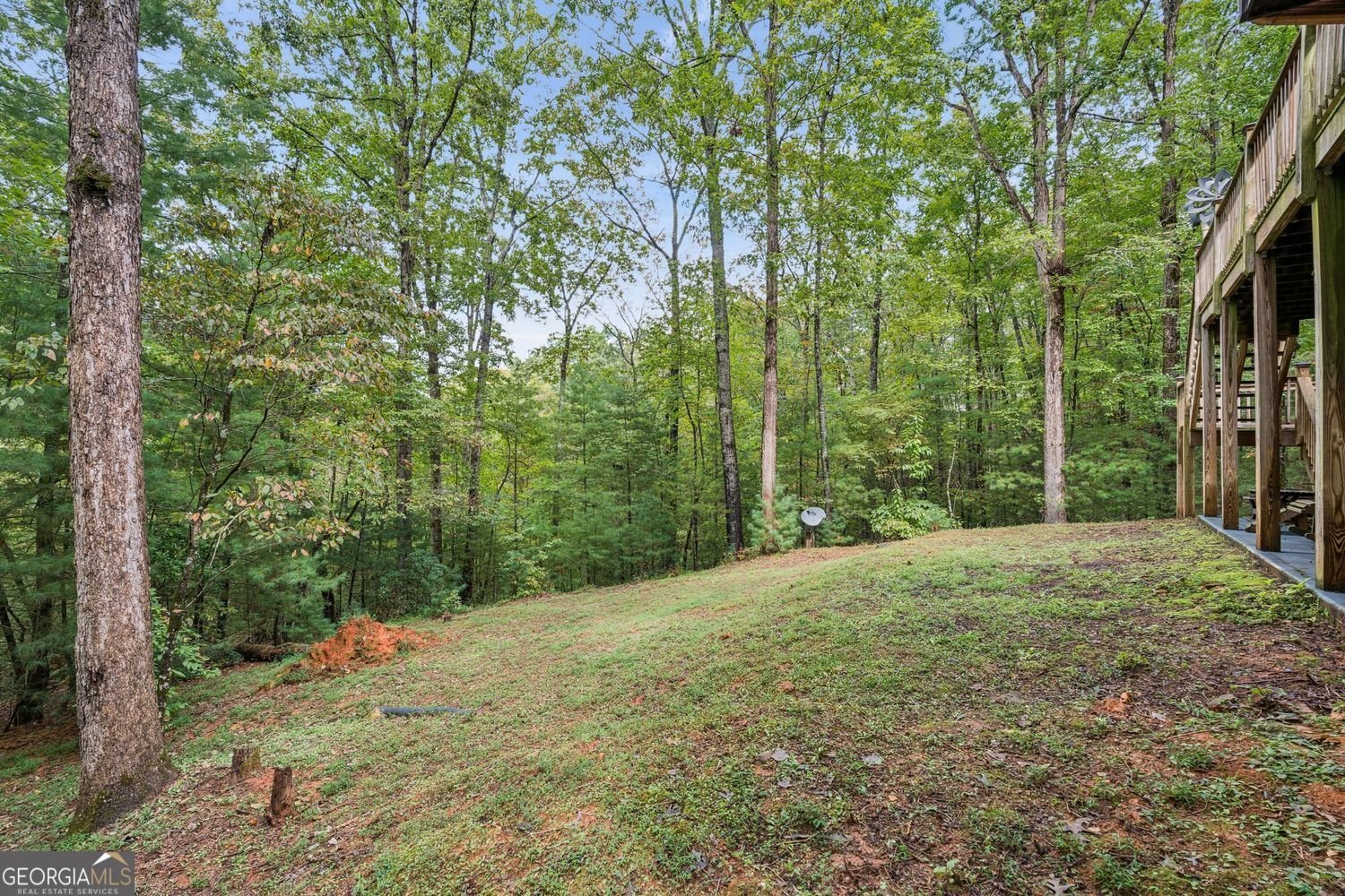 641 Dover Highlands Trail Ellijay - 6