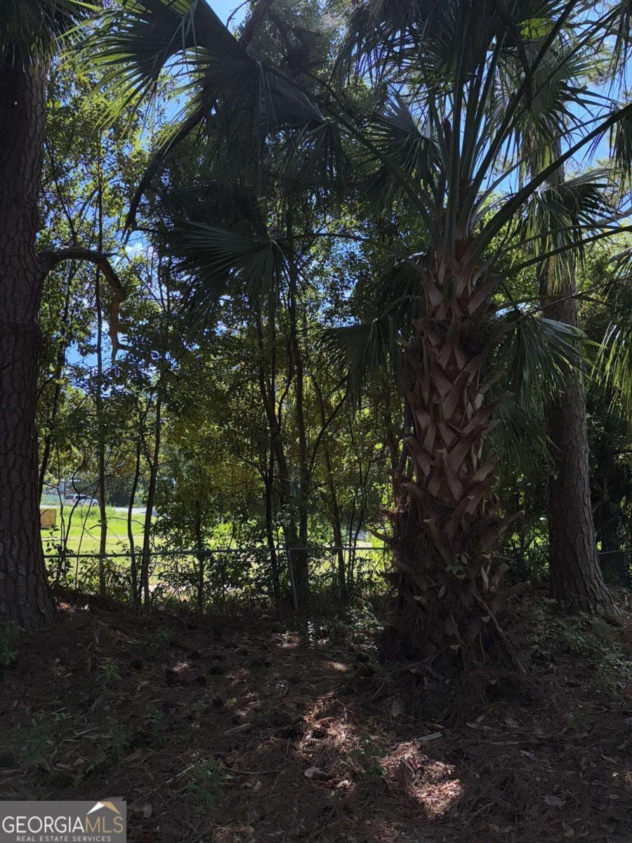 409 Davis Avenue Tifton - 3