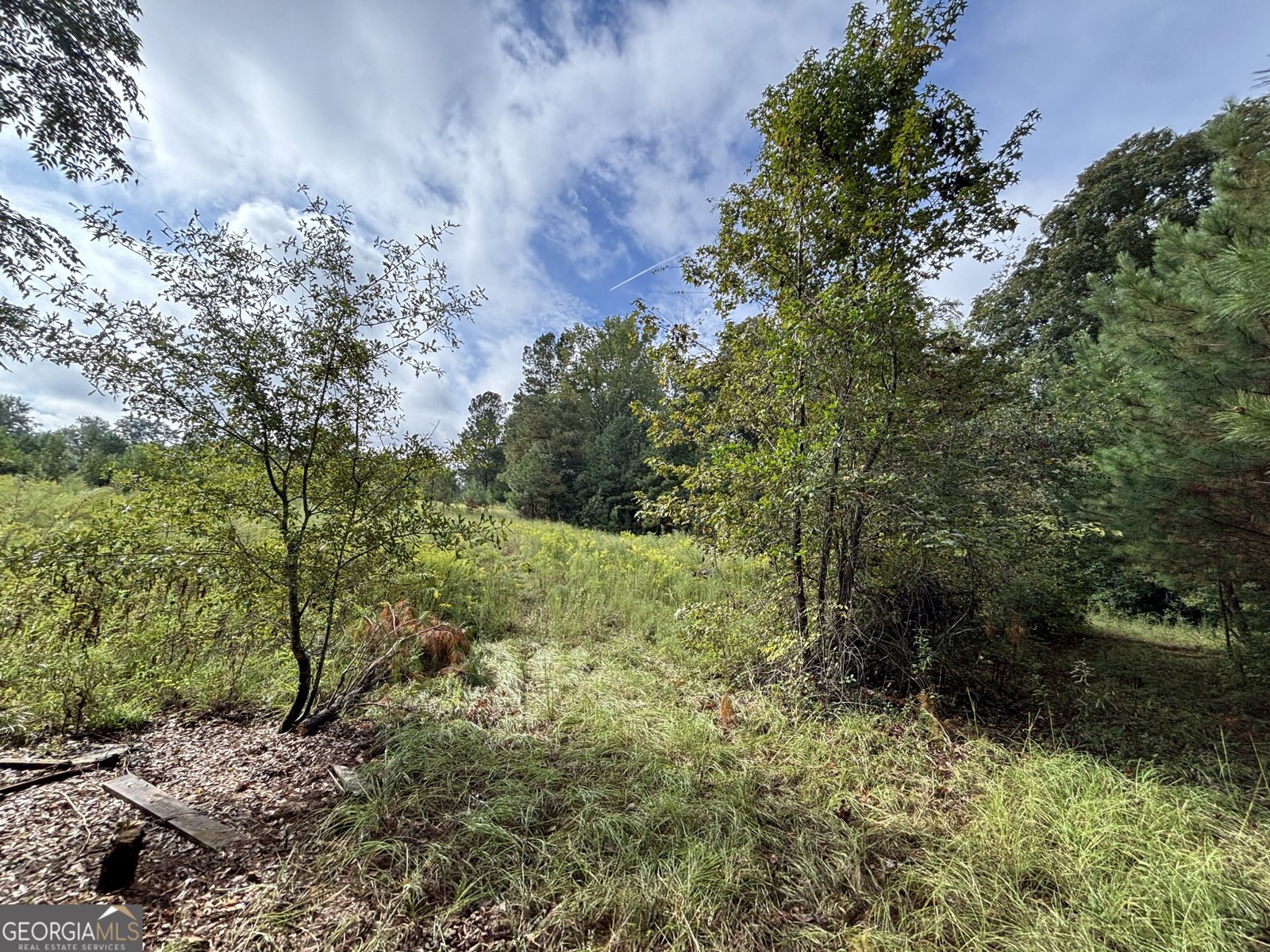 742 Cary Road Cochran - 28