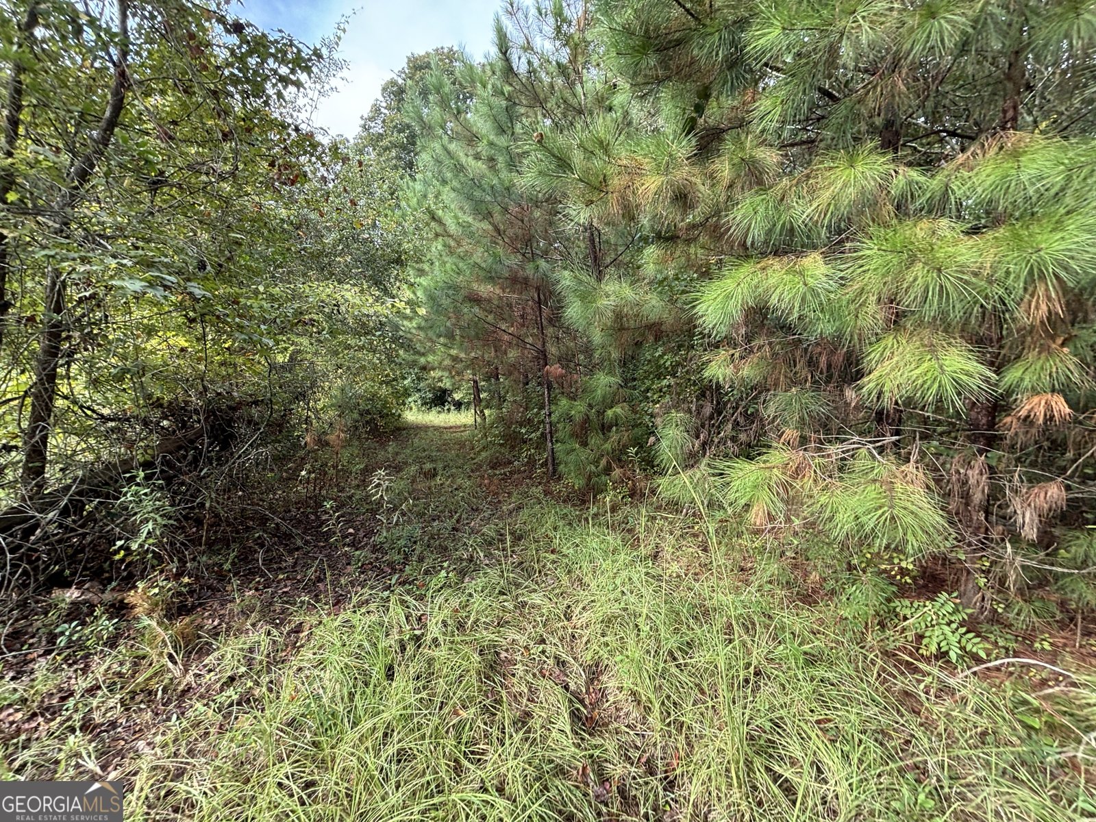 742 Cary Road Cochran - 29