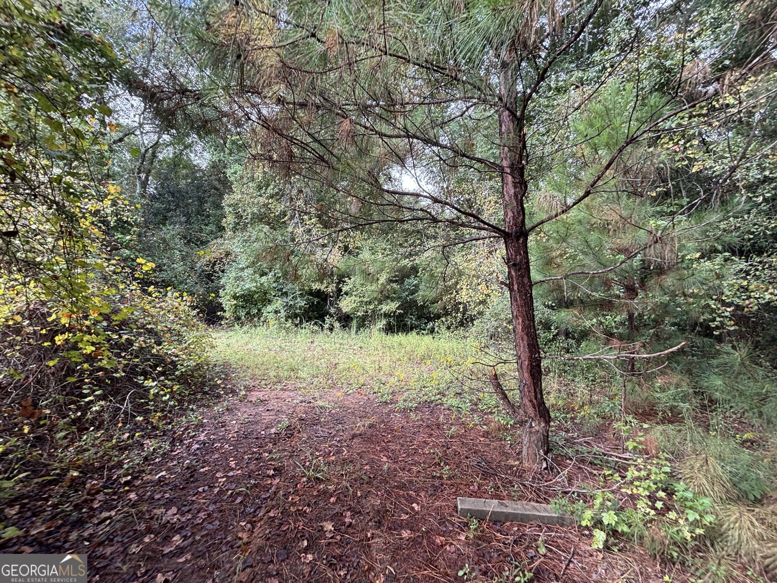 742 Cary Road Cochran - 30