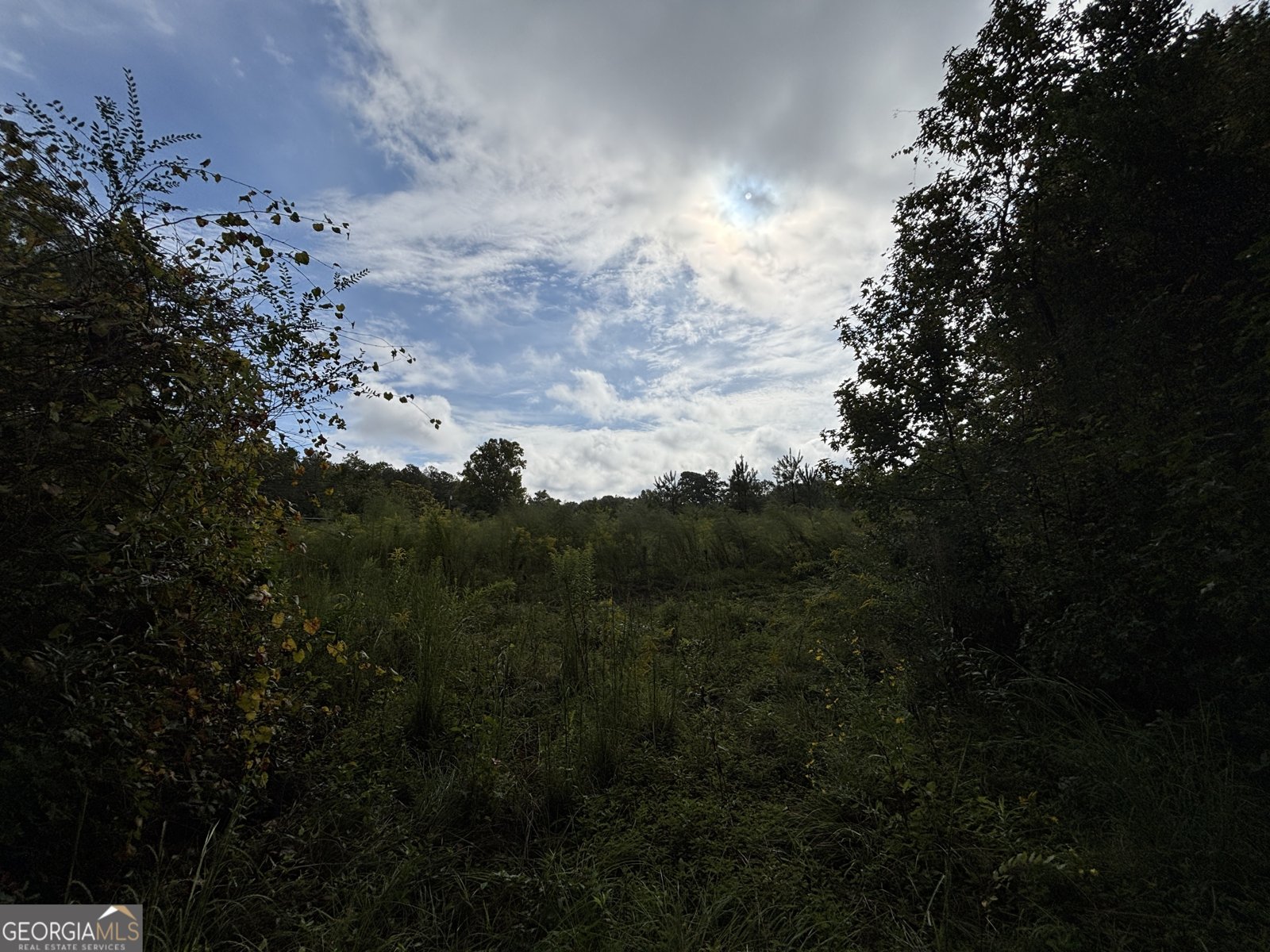 742 Cary Road Cochran - 31