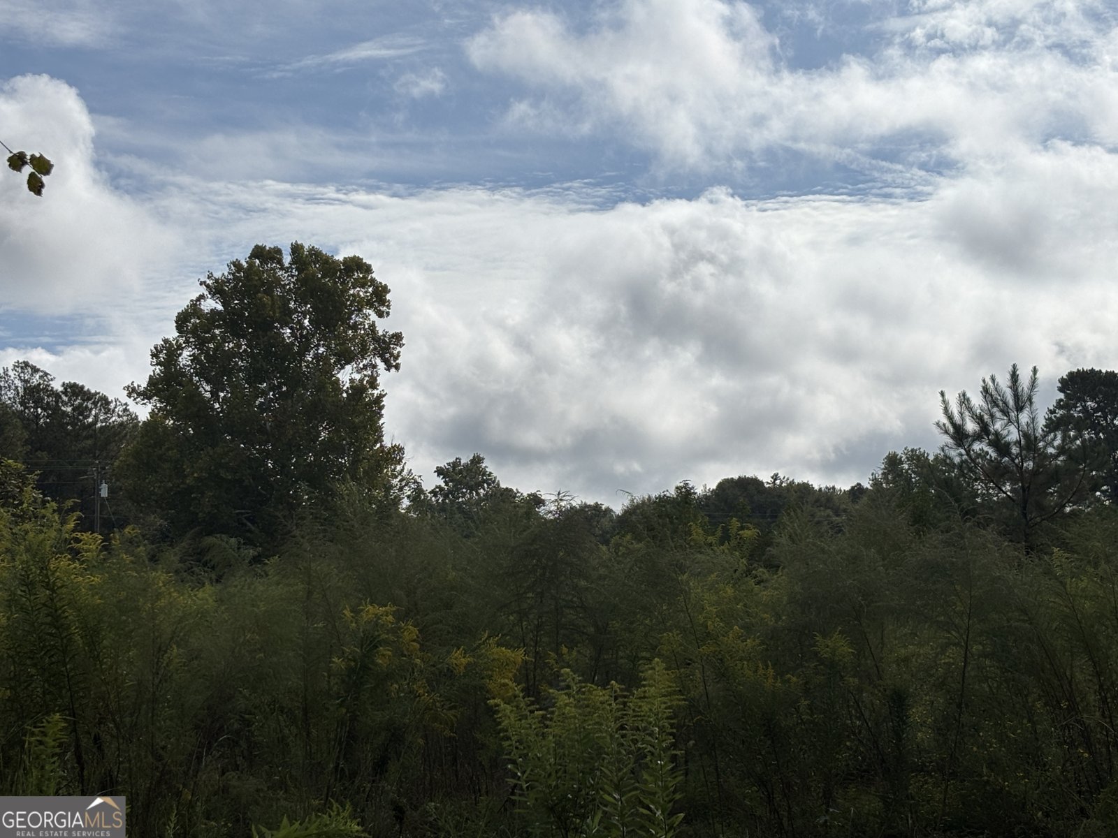 742 Cary Road Cochran - 32