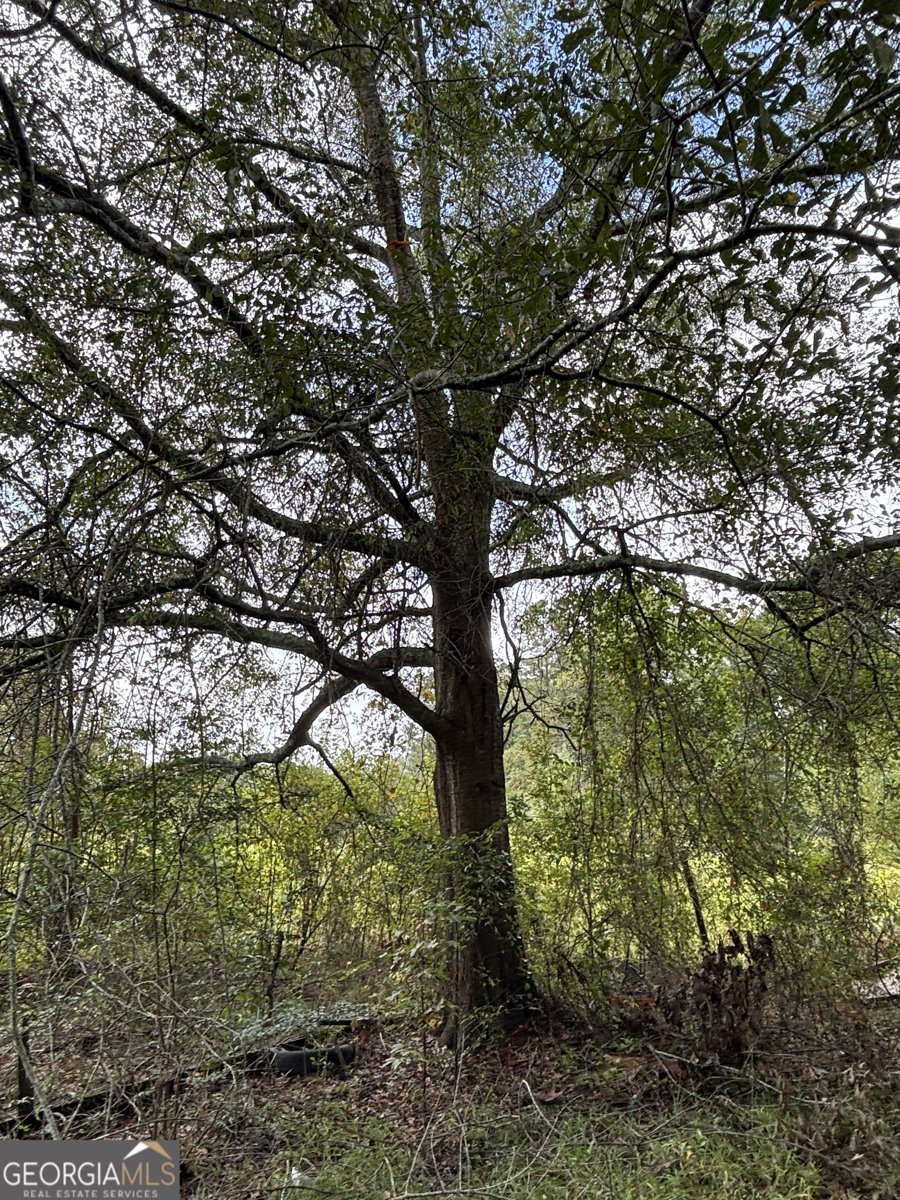 742 Cary Road Cochran - 34