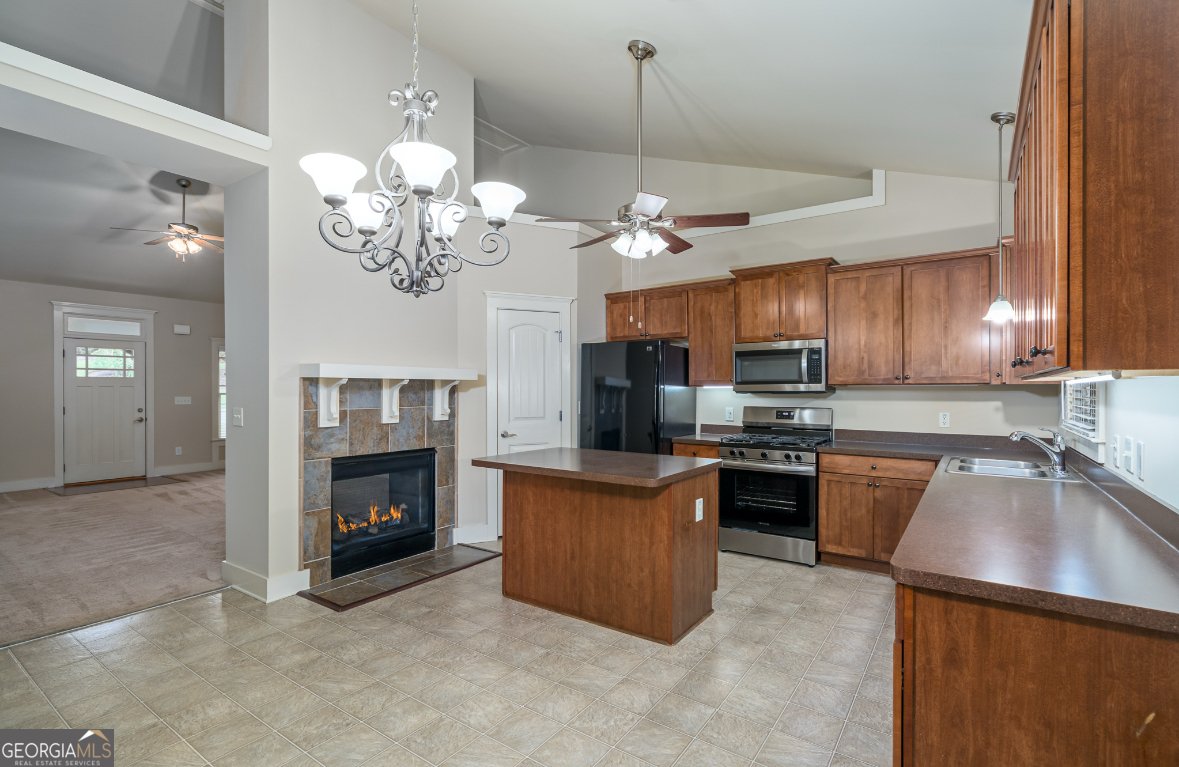 223 Morning Star Way Ball Ground - 16