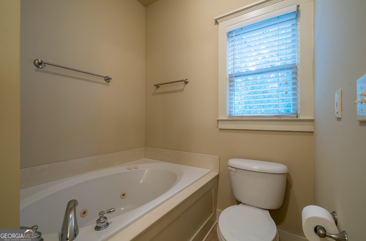 223 Morning Star Way Ball Ground - 29