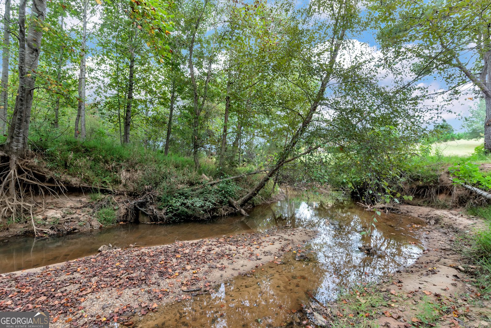 1197 Dee Kennedy Road Auburn - 57