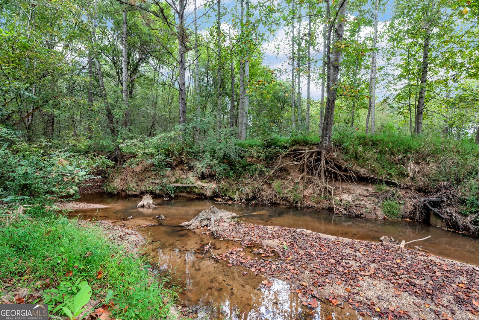1197 Dee Kennedy Road Auburn - 59