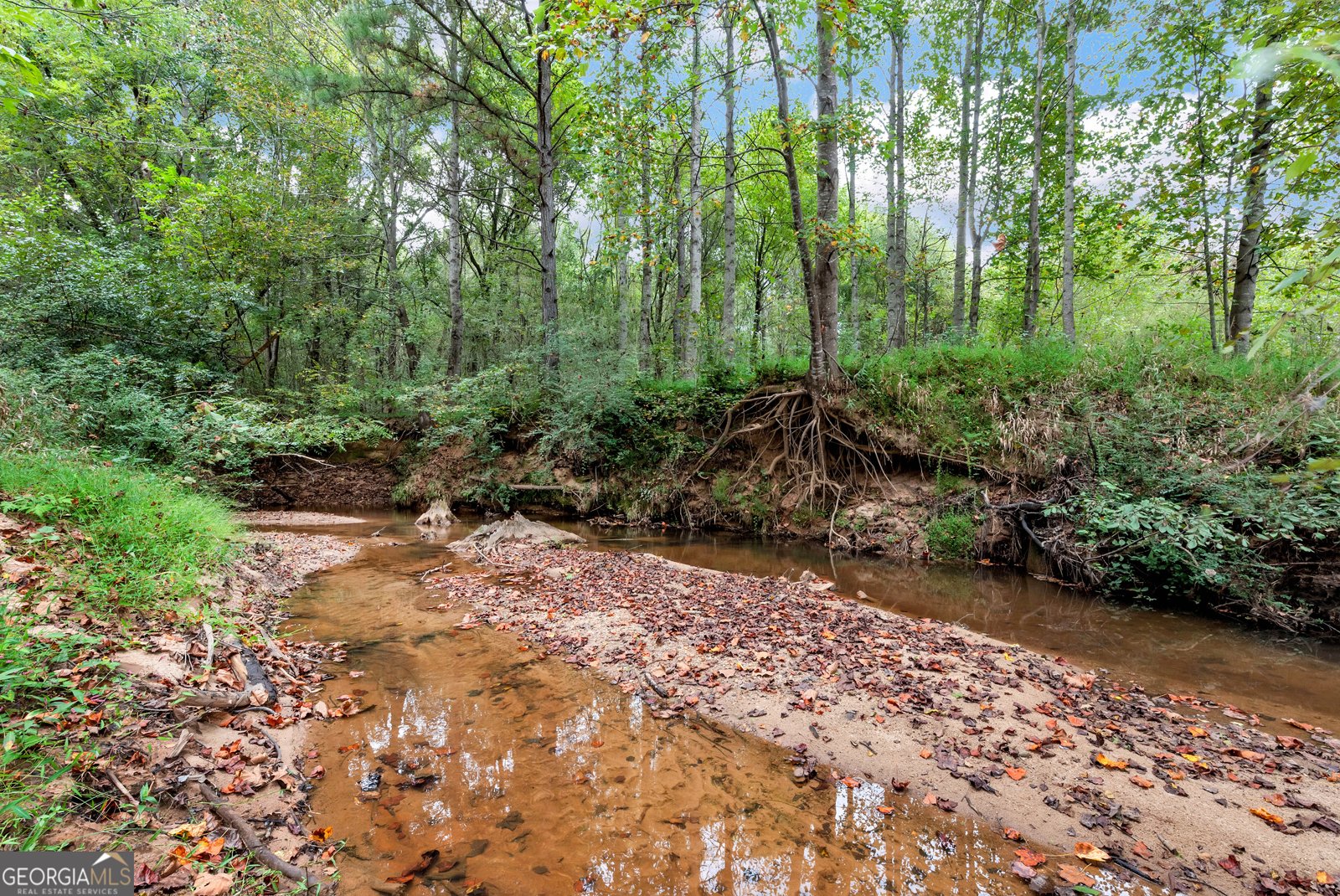 1197 Dee Kennedy Road Auburn - 75