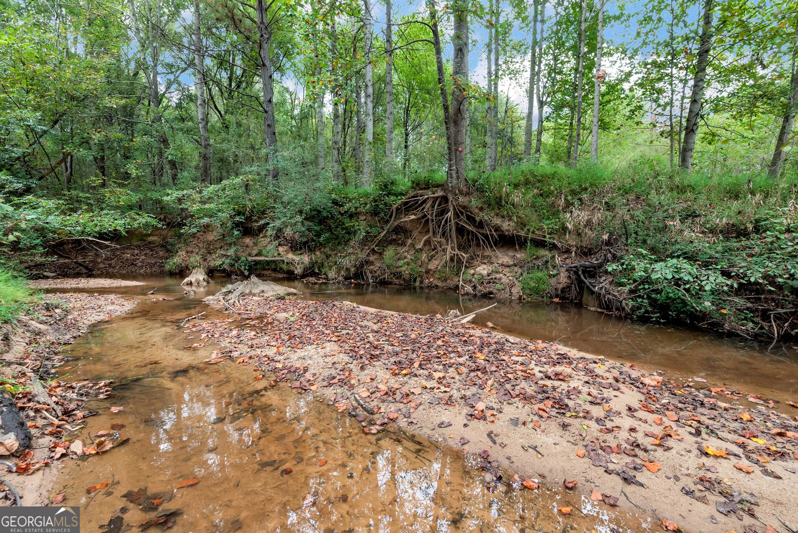 1197 Dee Kennedy Road Auburn - 76