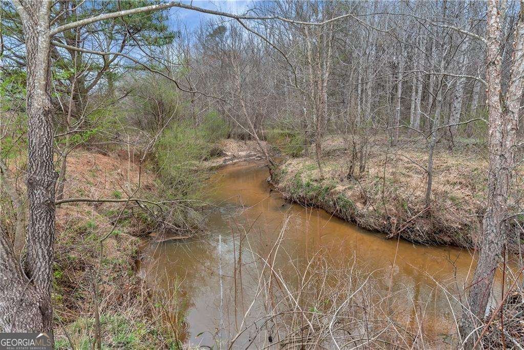 1197 Dee Kennedy Road Auburn - 77