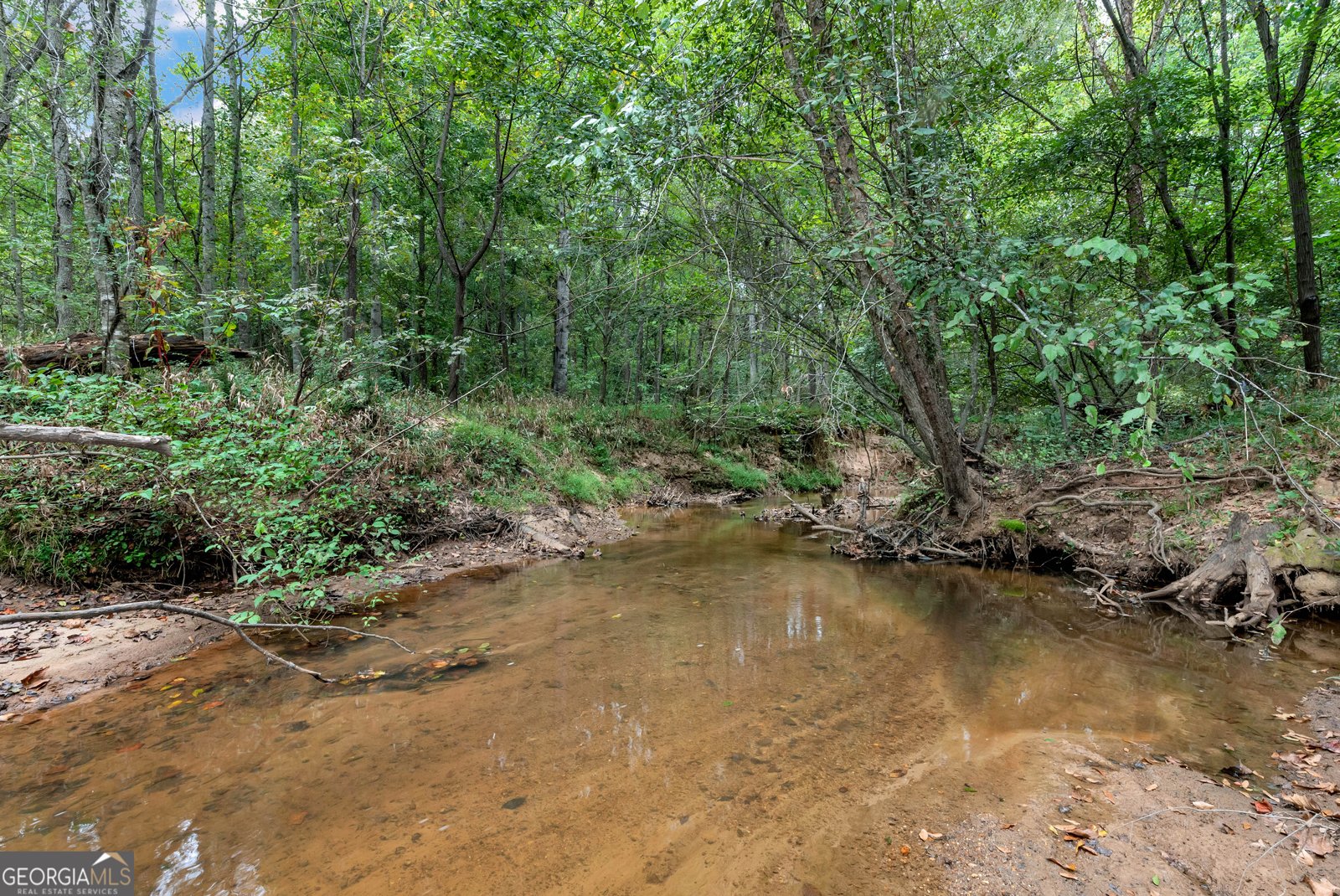 1197 Dee Kennedy Road Auburn - 81