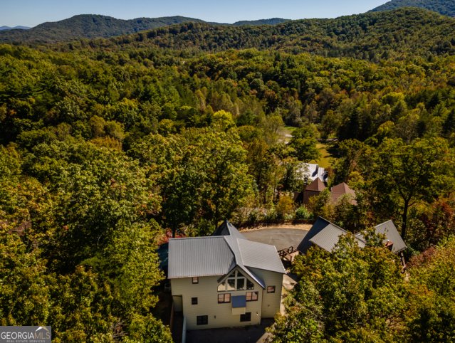 85 Foster Cove Road Blue Ridge - 2