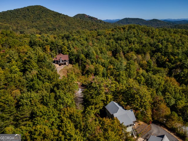 85 Foster Cove Road Blue Ridge - 3