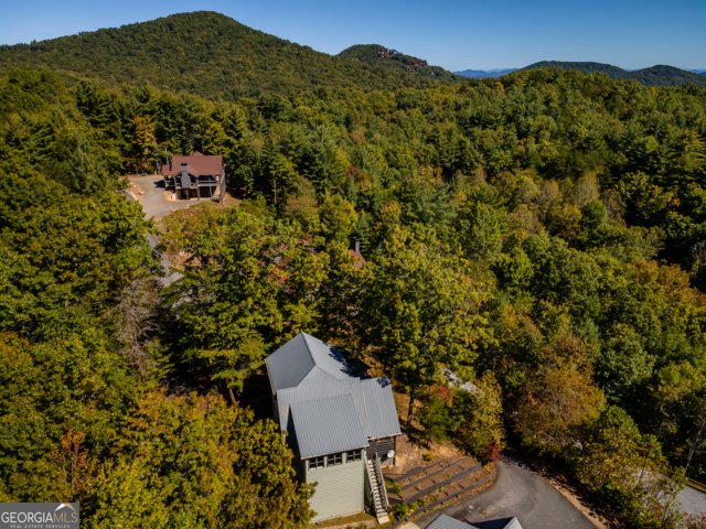 85 Foster Cove Road Blue Ridge - 4