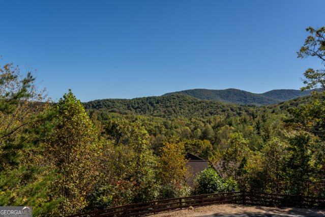 85 Foster Cove Road Blue Ridge - 42