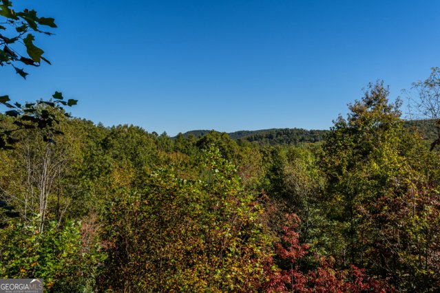 85 Foster Cove Road Blue Ridge - 54