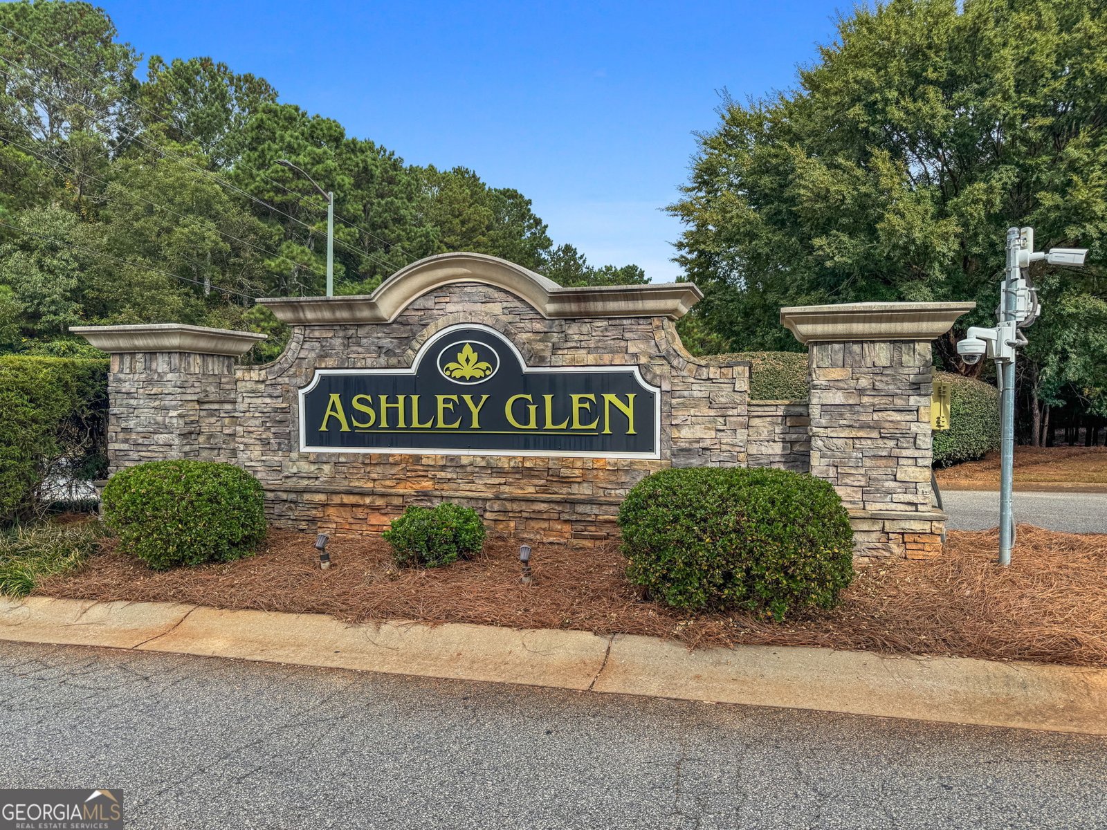 469 Ashley Glen Drive Williamson - 64