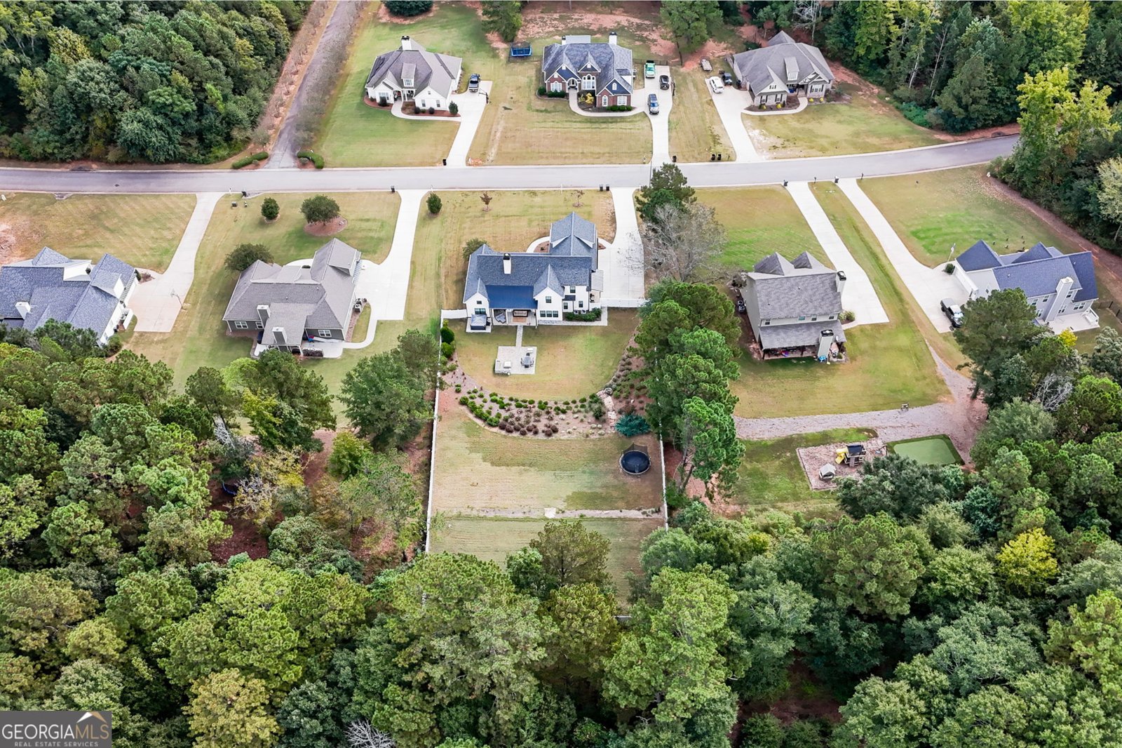469 Ashley Glen Drive Williamson - 65
