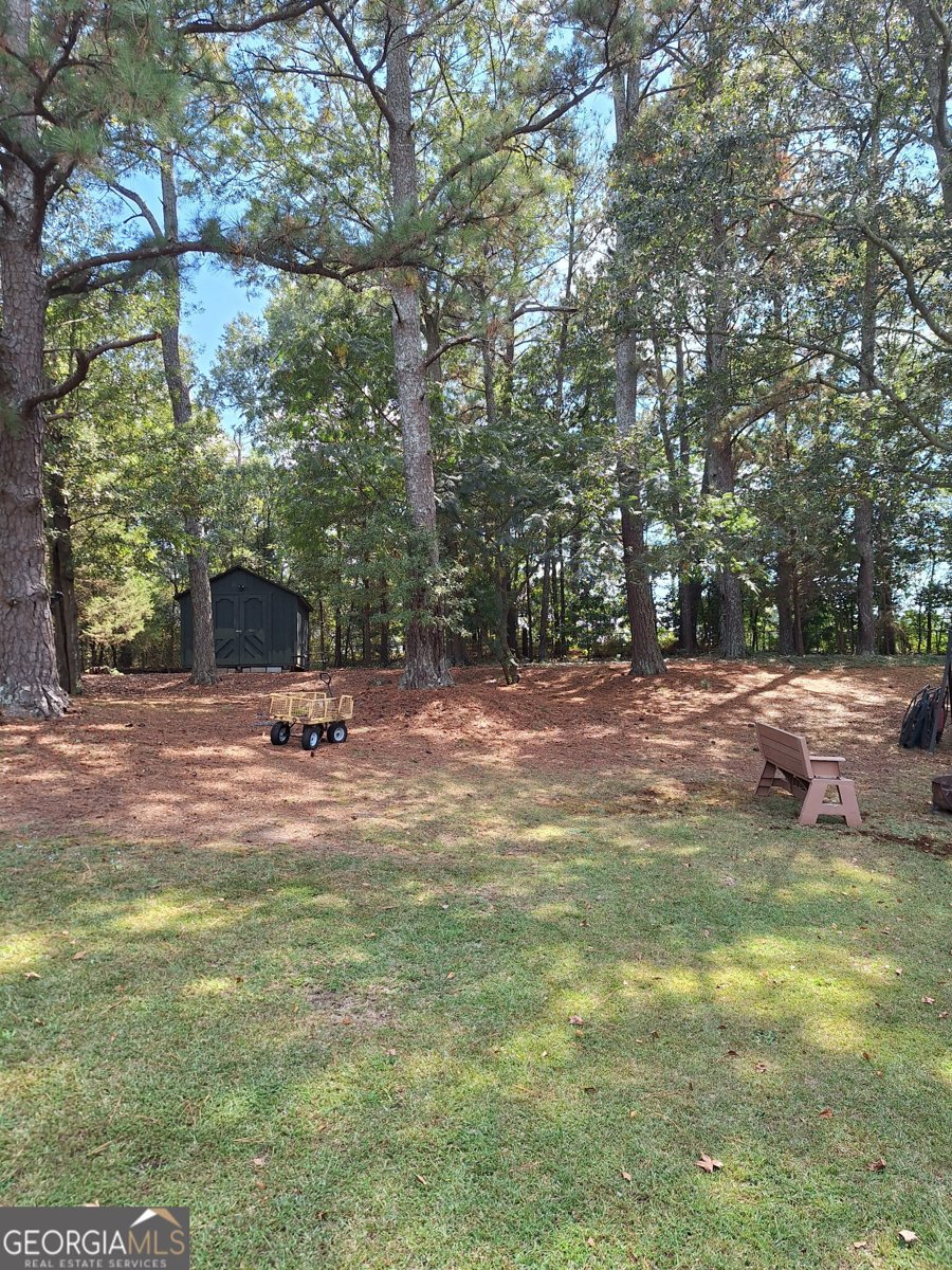 1269 Lark Lane Conyers - 11