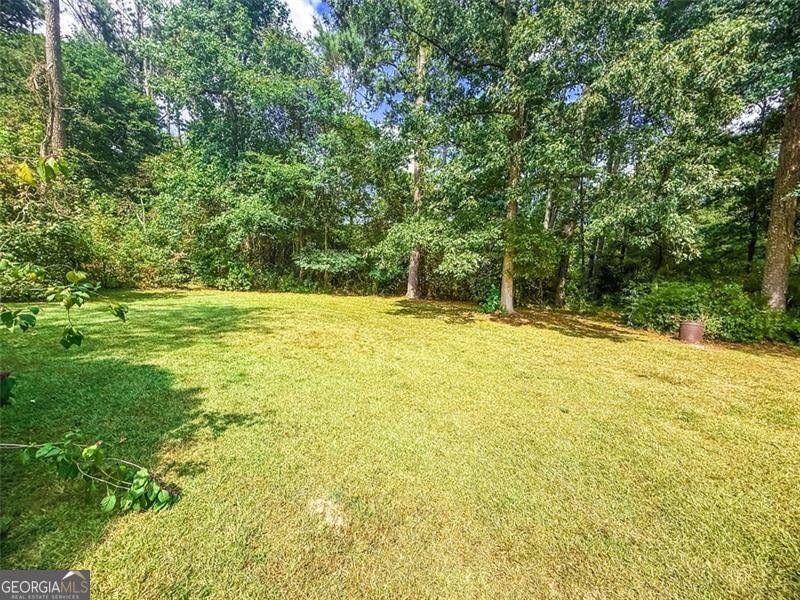 2223 ROLLING ACRES Drive Conyers - 1