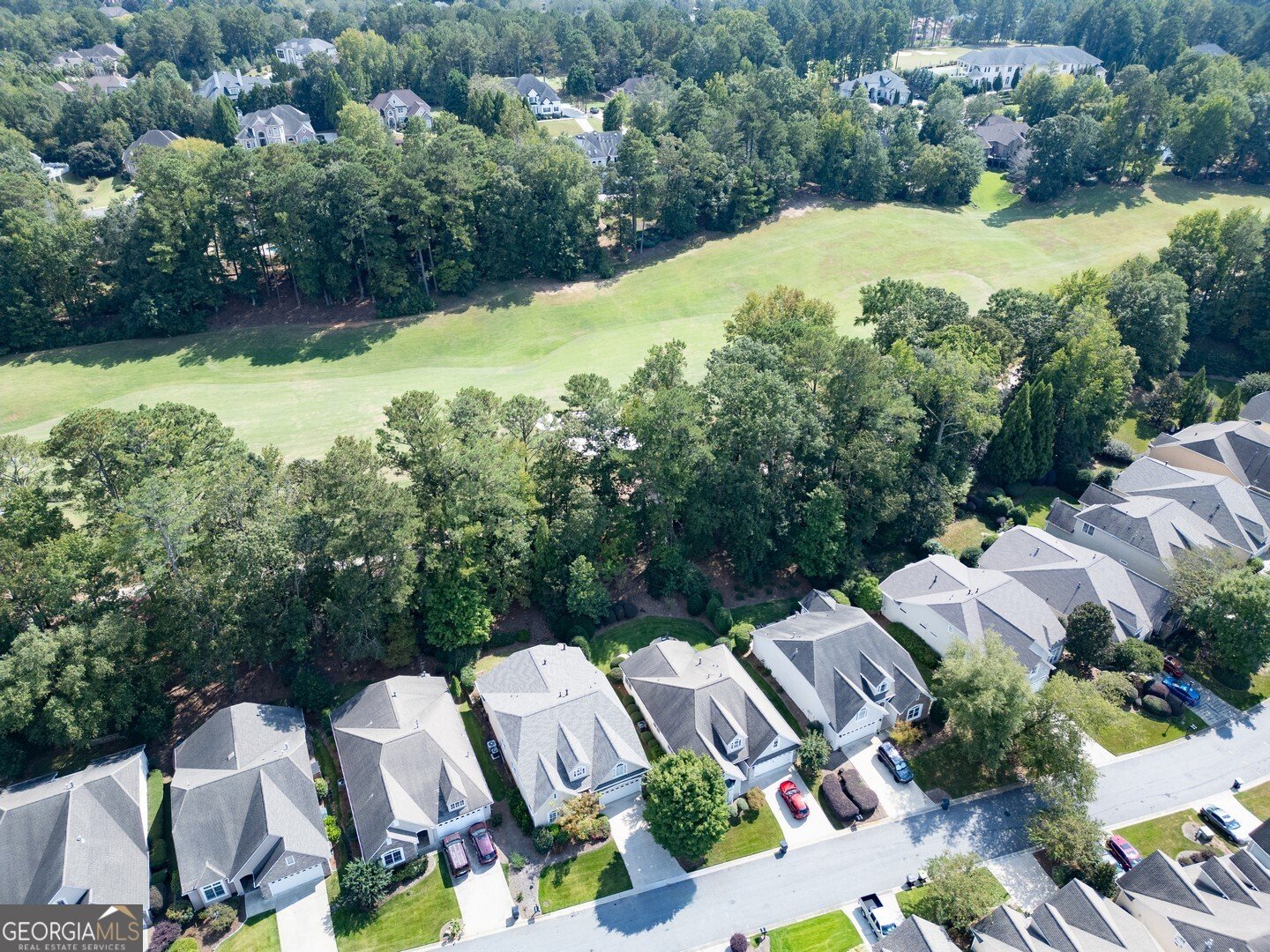 1016 Collingtree Court McDonough - 4