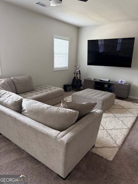 745 Henson Farm Drive Loganville - 12
