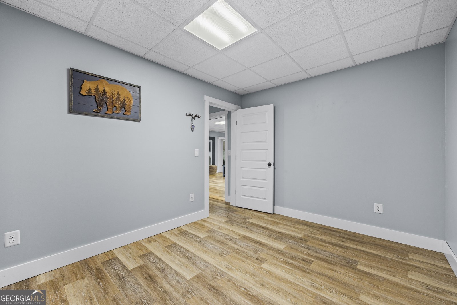 132 Cherokee Lane Lavonia - 1