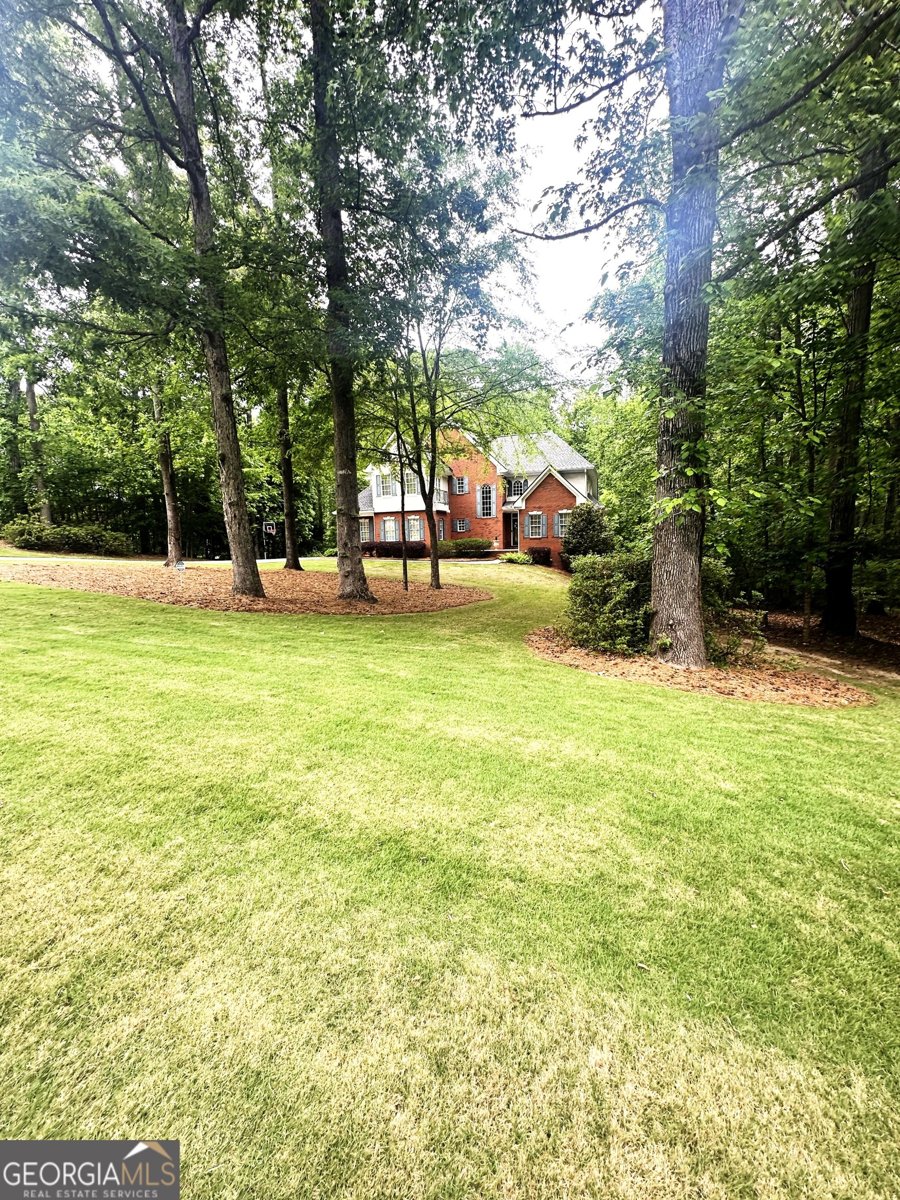 340 Antebellum Way Fayetteville - 63