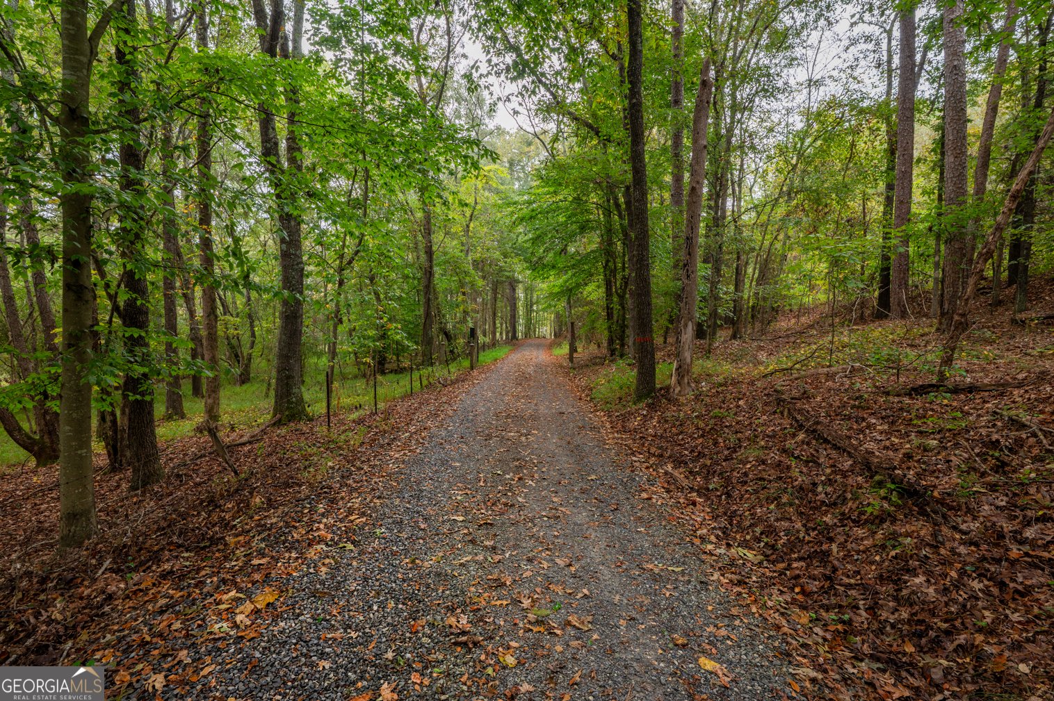 1503 Taliaferro Springs Road Lyerly - 39