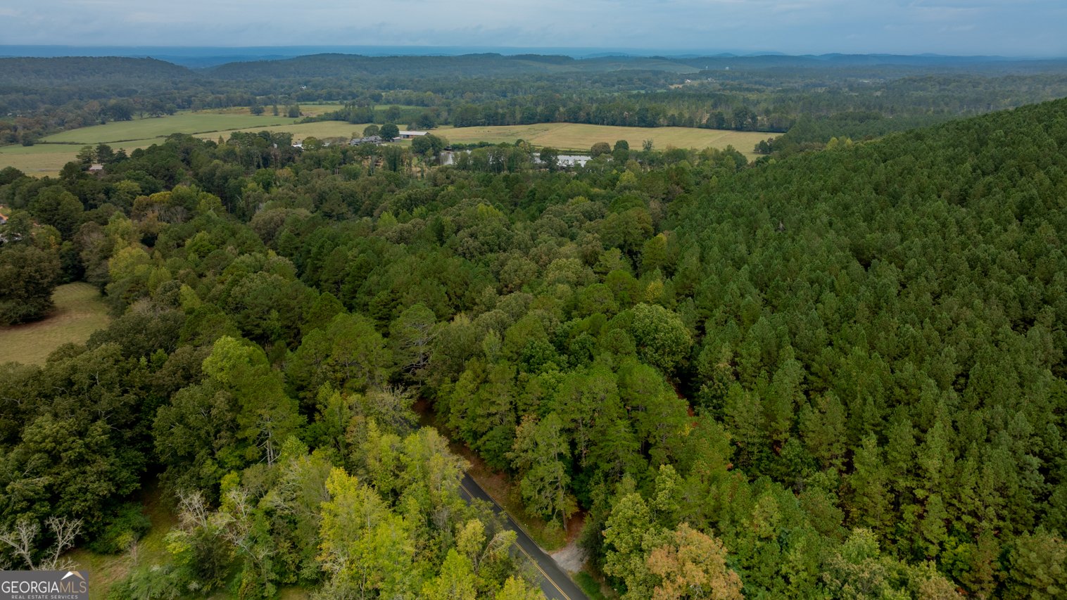 1503 Taliaferro Springs Road Lyerly - 43